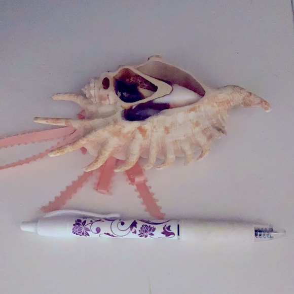 🦋2/$10 seashell - Picture 2 of 2